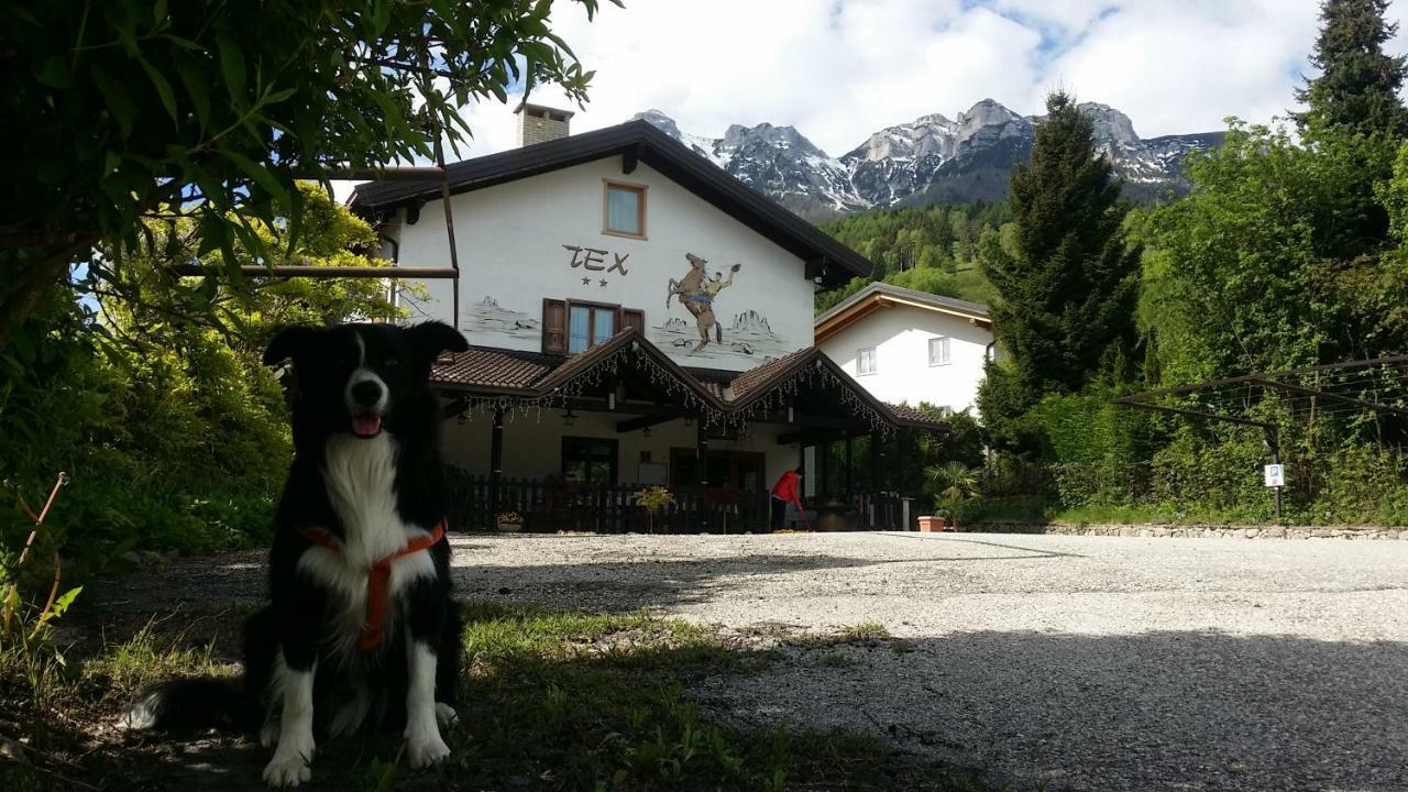 Botton D'Oro Delle Dolomiti Bed & Breakfast Vattaro Екстериор снимка